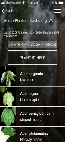 vTree screenshot