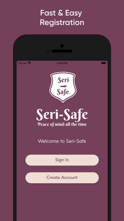 Seri-Safe: Inventory Tracker