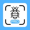 Insekten Scanner Pro icon
