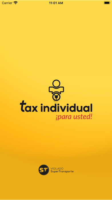 Tax Individual Pasajero Screenshot