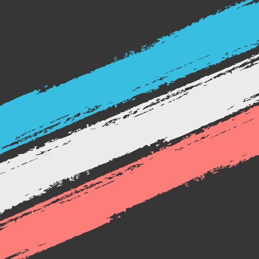 Pro - Basic French Vocabulary