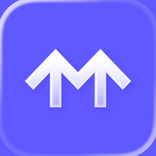 Metropolis: Remarkable Parking