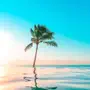 Cute Summer Wallpapers