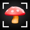 Mushroom Identification+ icon