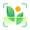 MyPlant: Plant Identifier - Braly