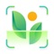 Welcome to MyPlant - Plant Identifier & Plant Care