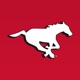 Calgary Stampeders app icon - Sports app for iPhone