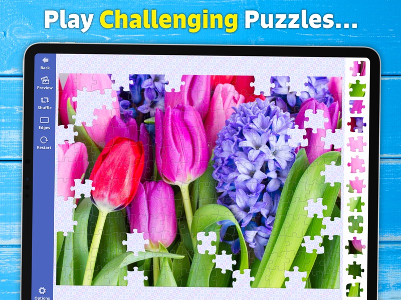 Jigsaw Bug: HD Puzzle Game screenshot 3