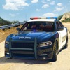 Police Simulator Vice City 3D icon