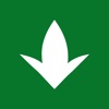 Maaleht icon