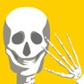 Get Enjoy Learning Anatomy puzzle for iOS, iPhone, iPad Aso Report