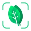 Plant identifier: Plant ID app icon