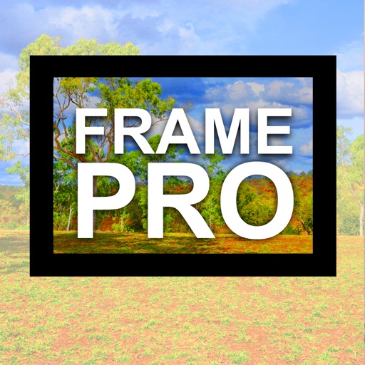 Frame Pro