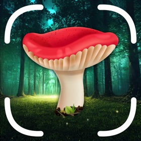 لقطات (4) Mushroom Identifier App: Fungi