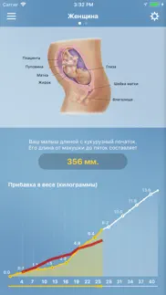 Я беременна айфон картинки 3
