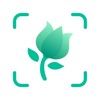 PlantSnap Pro: Identify Plants