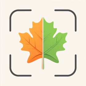 AI Plant Identifier: Diagnosis