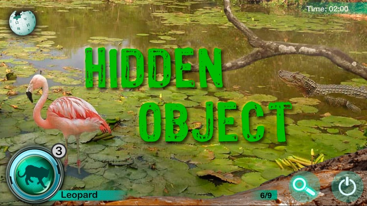 Hidden Animals: Seek and Find