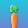 Healthy Salad Guide icon