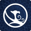 Le Jeu Du Phénix icon
