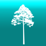 Arboreal -  木の高さ