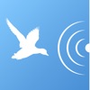 Bird decoy icon