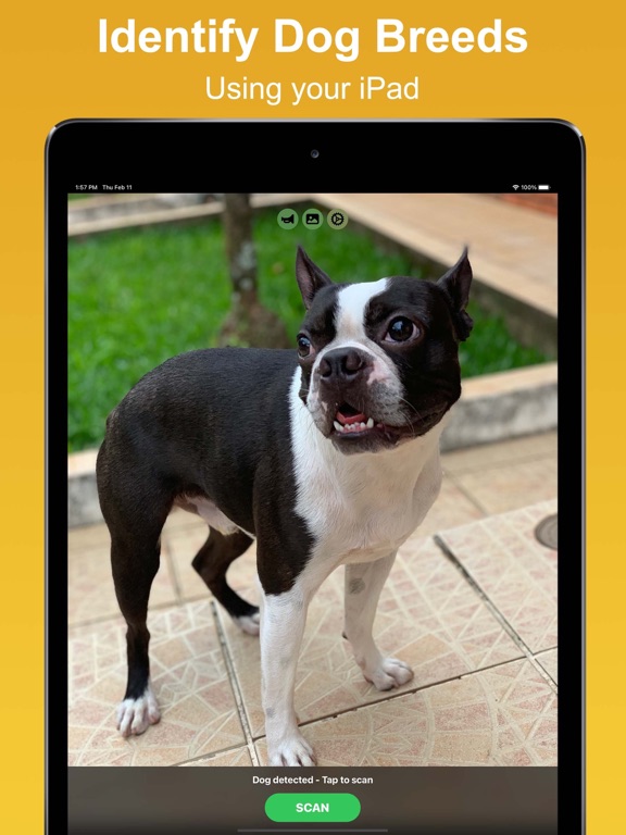 Screenshot #4 pour Dog Scan - Identify Breeds