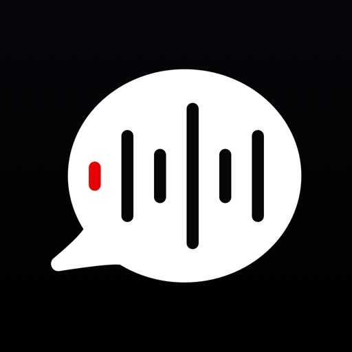 audio recorder :Voice to text