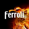 Ferroli Servis icon