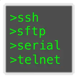 FLTerm app icon