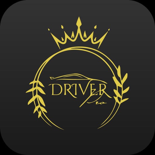 Driver Pro - Pasajero