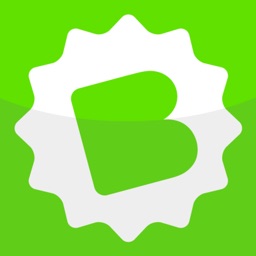 BIS-BestInService