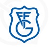 Intranet GFF-FGF icon