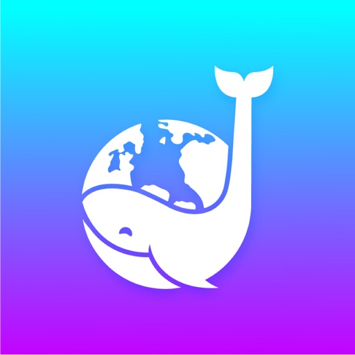 Dtop Universal Carnival