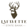 LSB On The Go icon