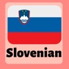 Learn Slovenian icon