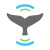 Whale Alert icon