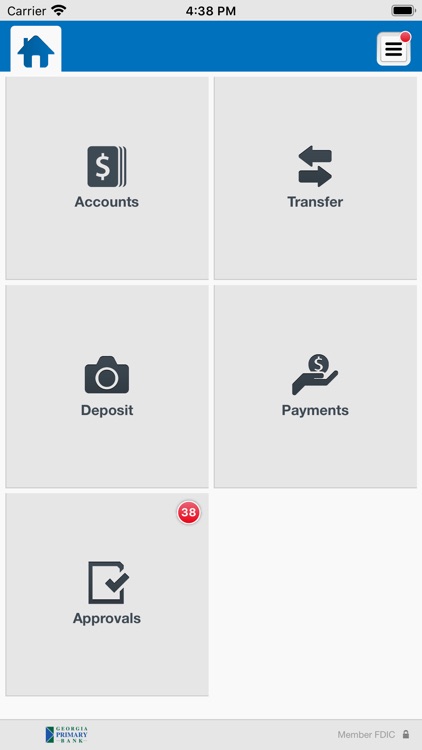 Georgia Primary Bank Business