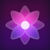 4K Wallpapers x HD Backgrounds - Maxim Radchenko