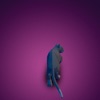 Little Kitty  Mouse Catch icon