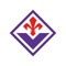 Cosa è Fiorentina Sport Solutions 