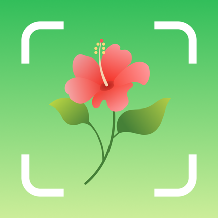 Plant Identifier: PlantScope