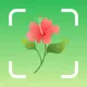 Plant Identifier: PlantScope