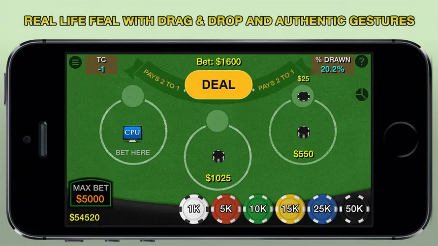 Blackjack 21 Pro Multi-Hand screenshot 2