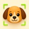 Instantly Identify Any Dog Breed with Just a Snap