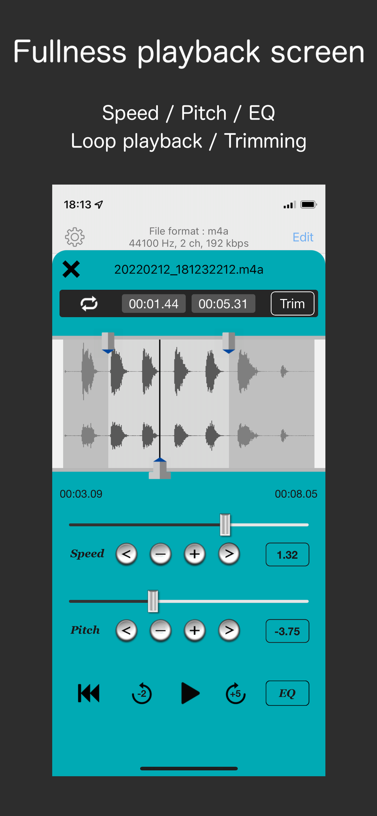 Audio Recorder - WAV, M4A