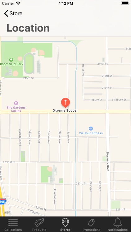 Xtreme Soccer screenshot-6