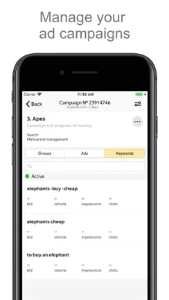 Yandex Direct iPhone image 2