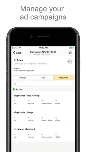 Yandex Direct screenshot 2