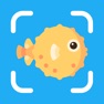 Get Fish Identifier by FishPic for iOS, iPhone, iPad Aso Report